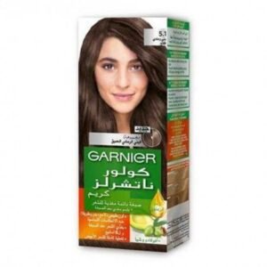 product-3610340080128 صبغة جارنيه بنى فاتح ( 5.1 ) 40 مل